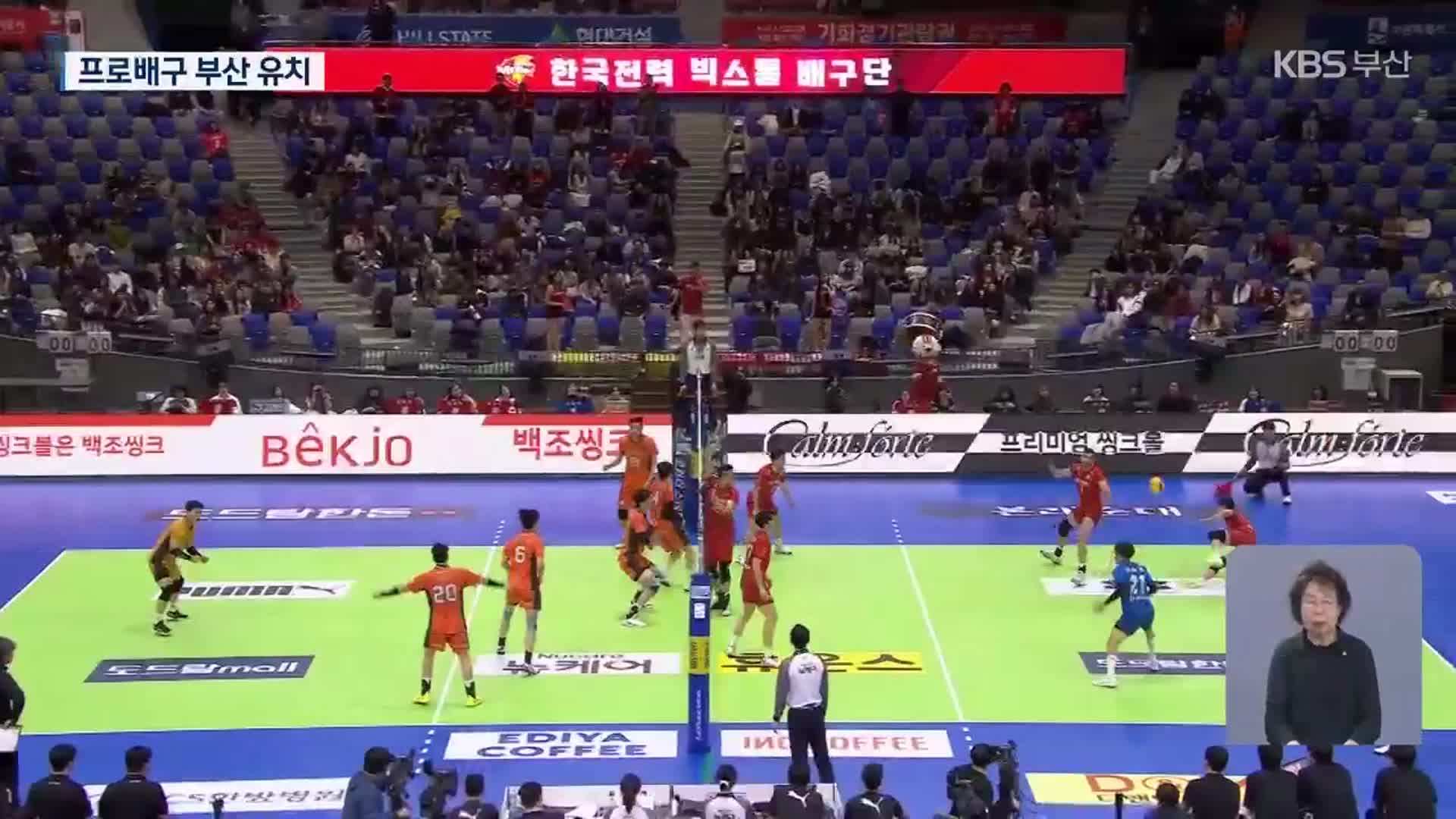 OK저축은행 ‘부산행’…프로 4대 종목 유치