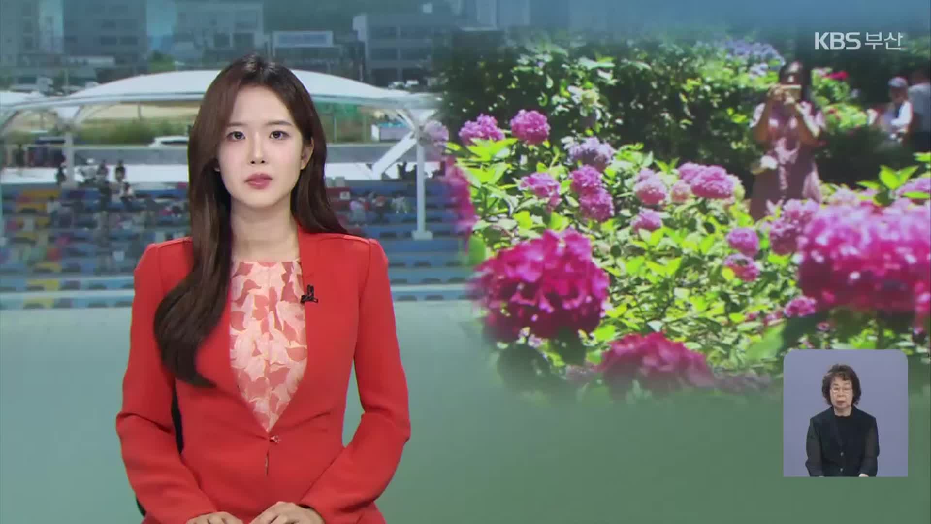 [뉴스9 부산 오프닝]