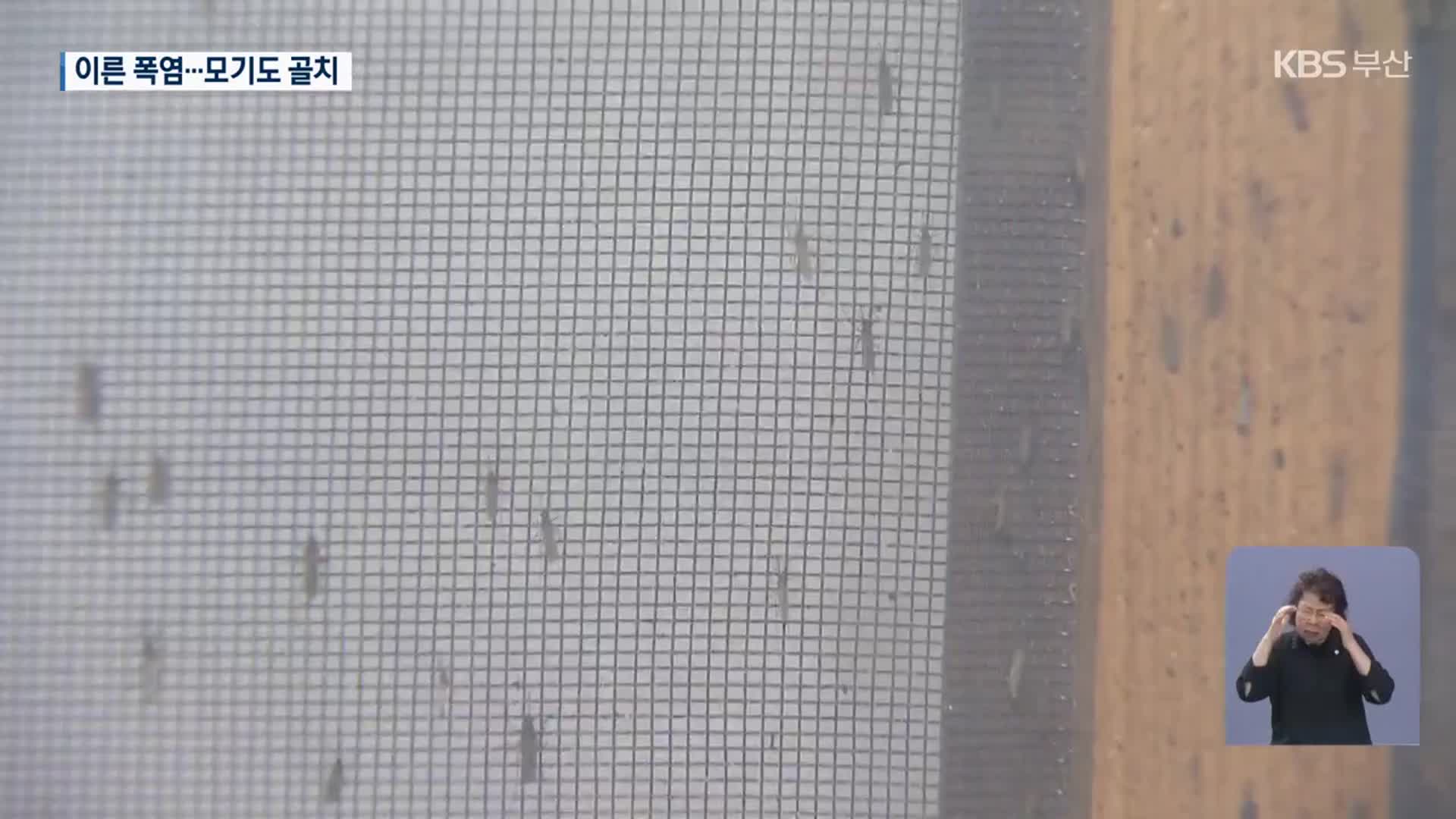 이른 폭염에 모기 활동 길어져…콜센터 운영