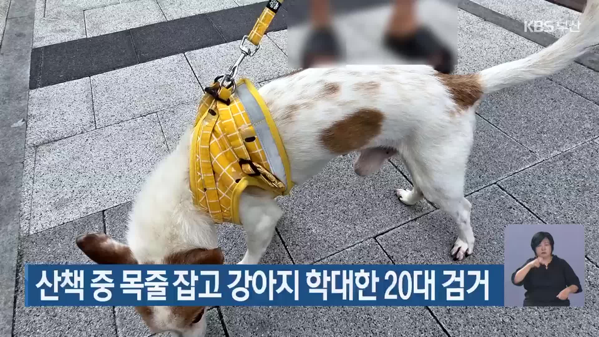 산책 중 목줄 잡고 강아지 학대한 20대 검거