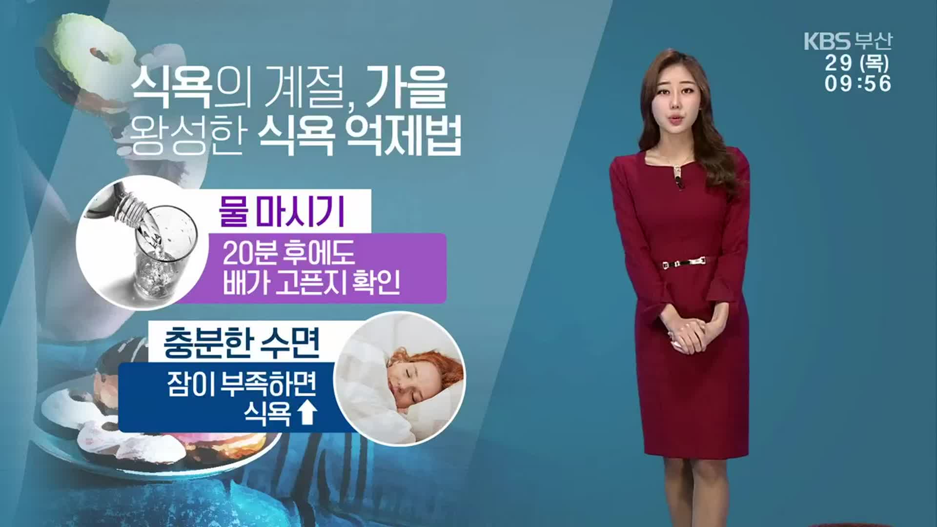 [날씨] 부산 아침 기온 뚝 ↓…가을 왕성한 식욕 억제법은?