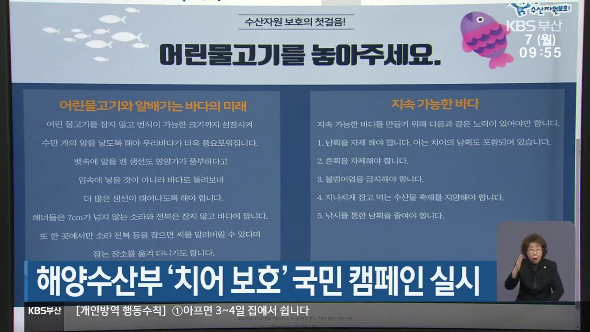 해양수산부 ‘치어 보호’ 국민 캠페인 실시