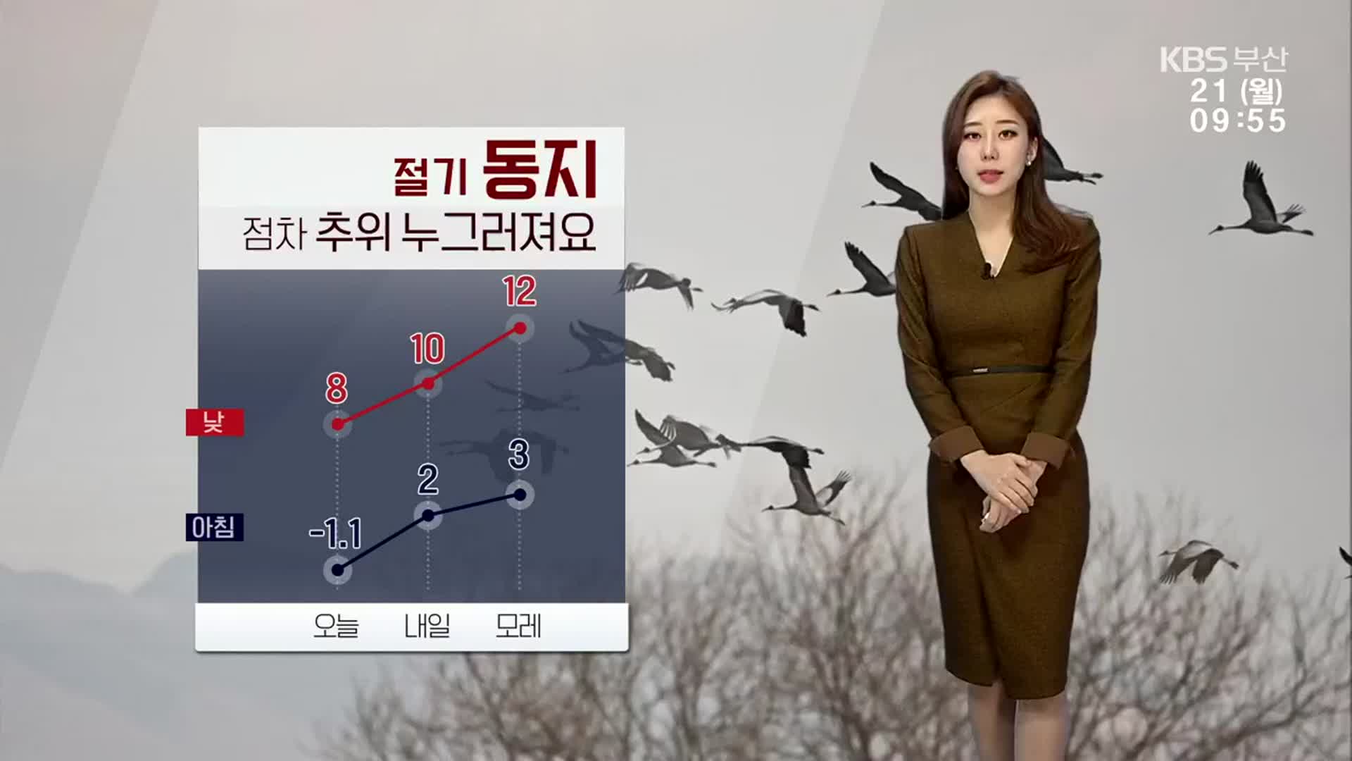 [날씨] 부산 추위 점차 누그러져…한낮 8도·모레 12도