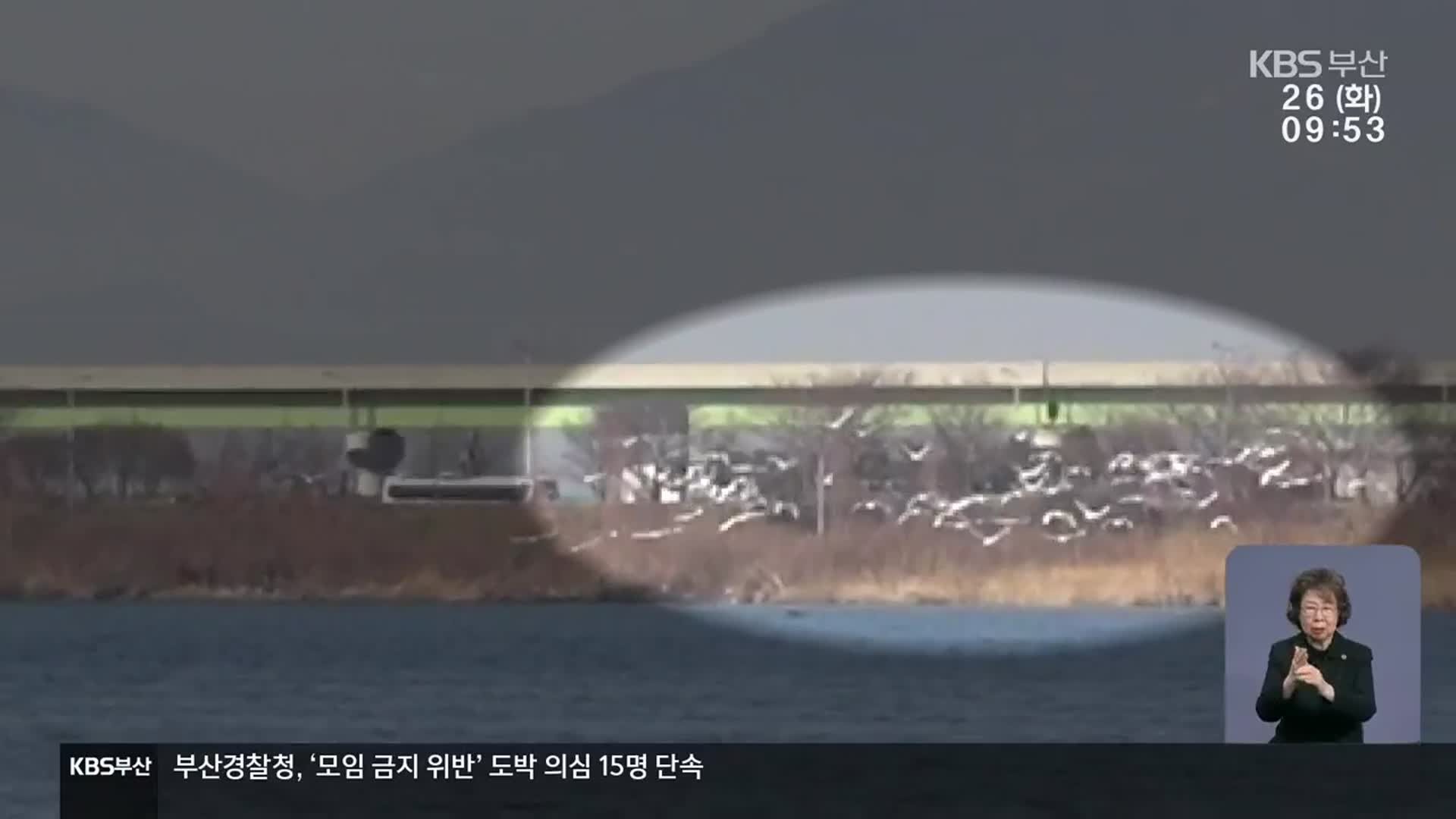 철새 서식지 “불법 선박 운항”…고의 ‘의혹’
