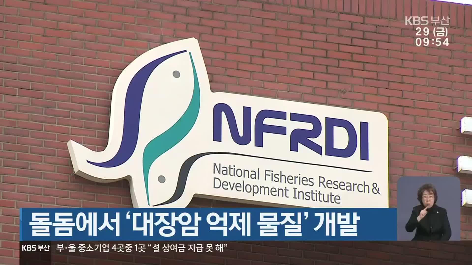 돌돔에서 ‘대장암 억제 물질’ 개발