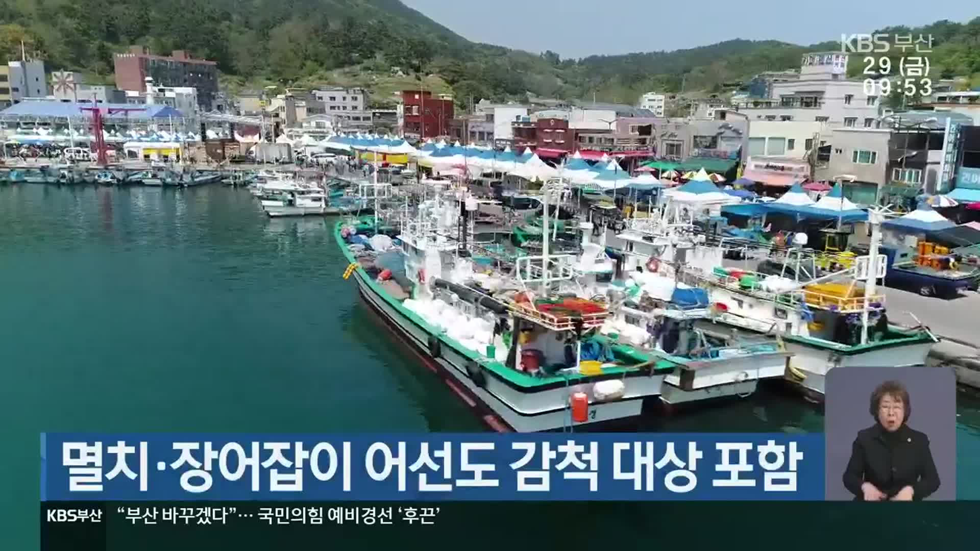 멸치·장어잡이 어선도 감척 대상 포함