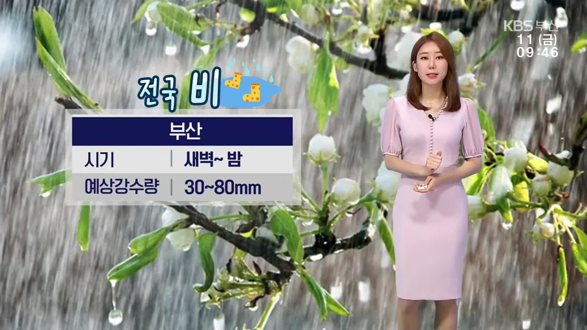 [날씨] 부산 밤까지 비…예상 강수량 30~80㎜