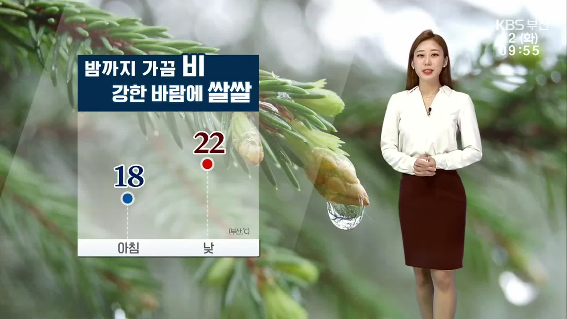 [날씨] 부산 밤까지 가끔 비, 강한 바람에 쌀쌀…낮 최고 22도