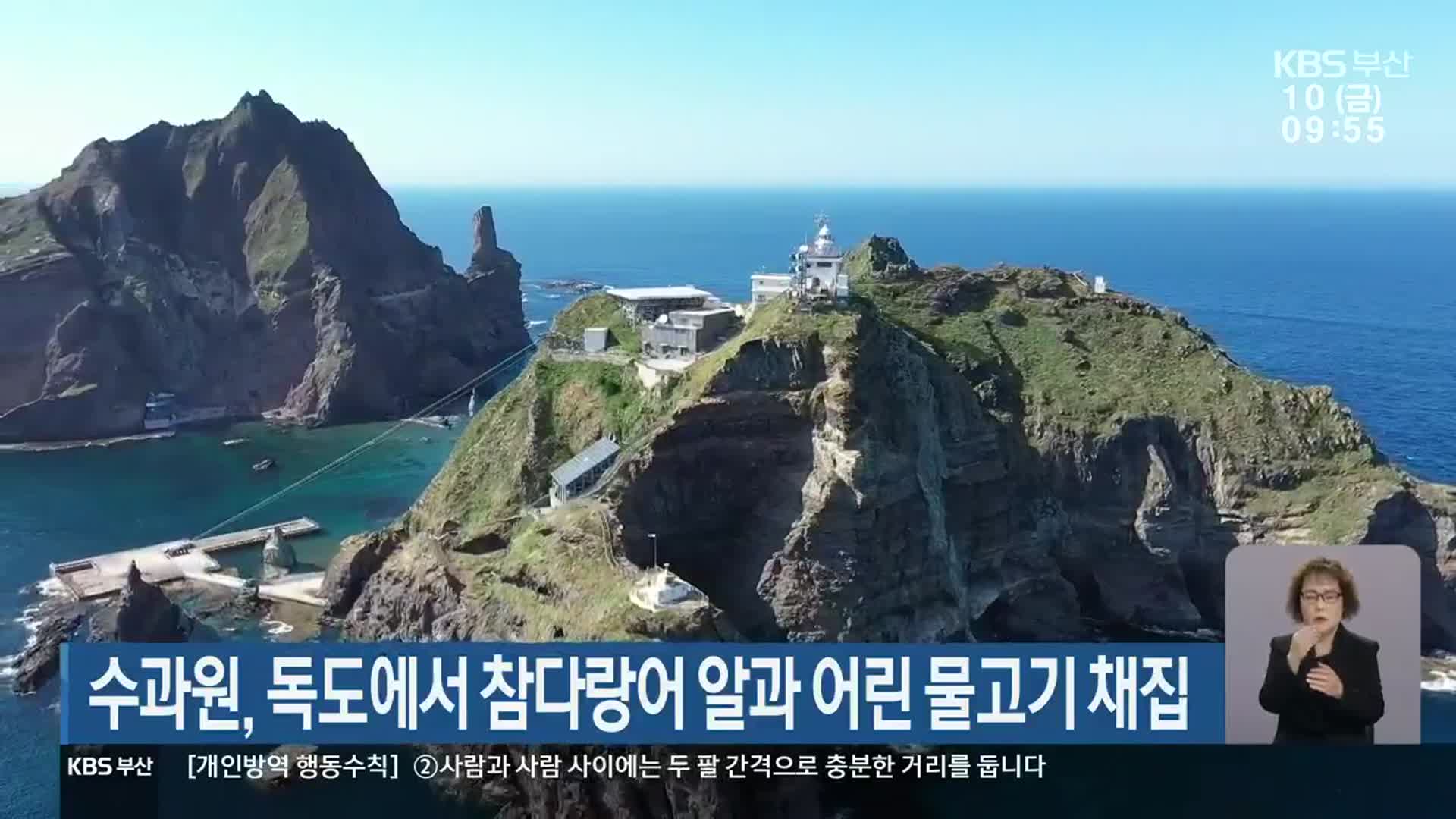 수과원, 독도에서 참다랑어 알과 어린 물고기 채집