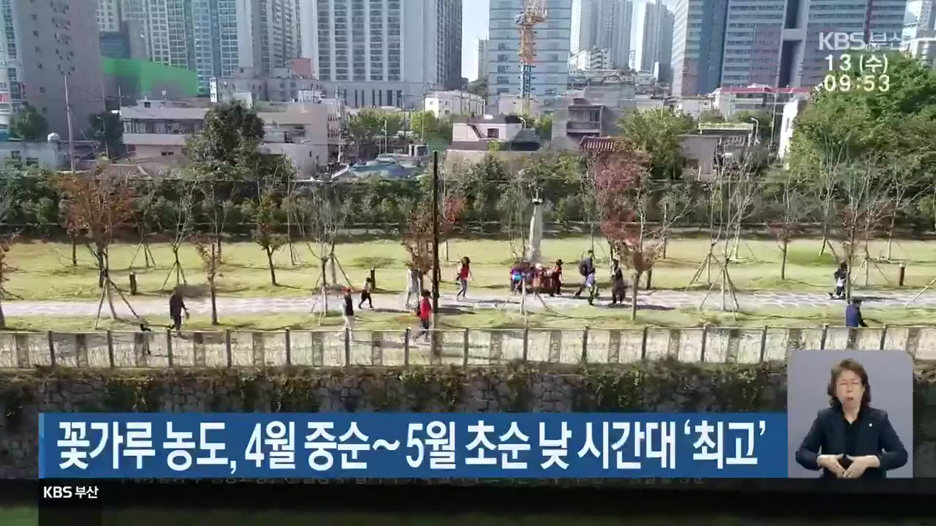 부산 꽃가루 농도, 4월 중순∼5월 초순 낮 시간대 ‘최고’