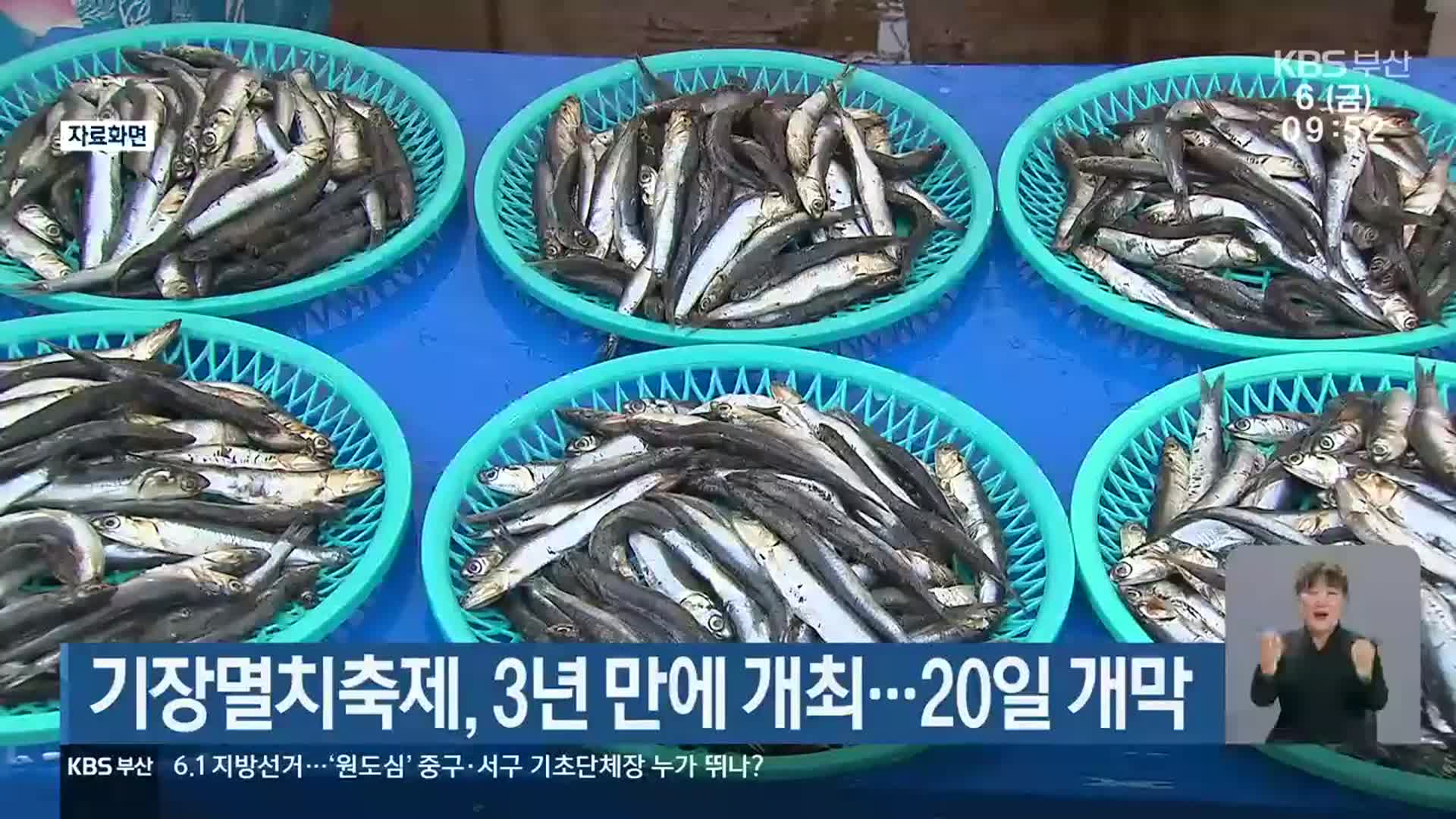 기장멸치축제, 3년 만에 개최…20일 개막