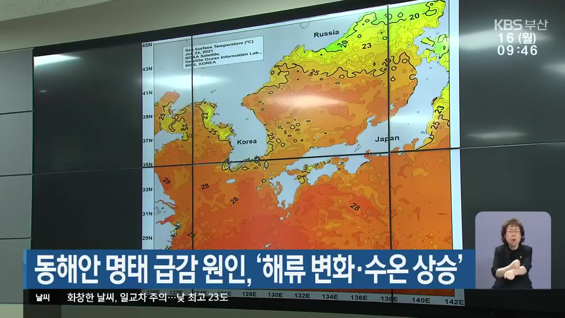 동해안 명태 급감 원인, ‘해류 변화·수온 상승’