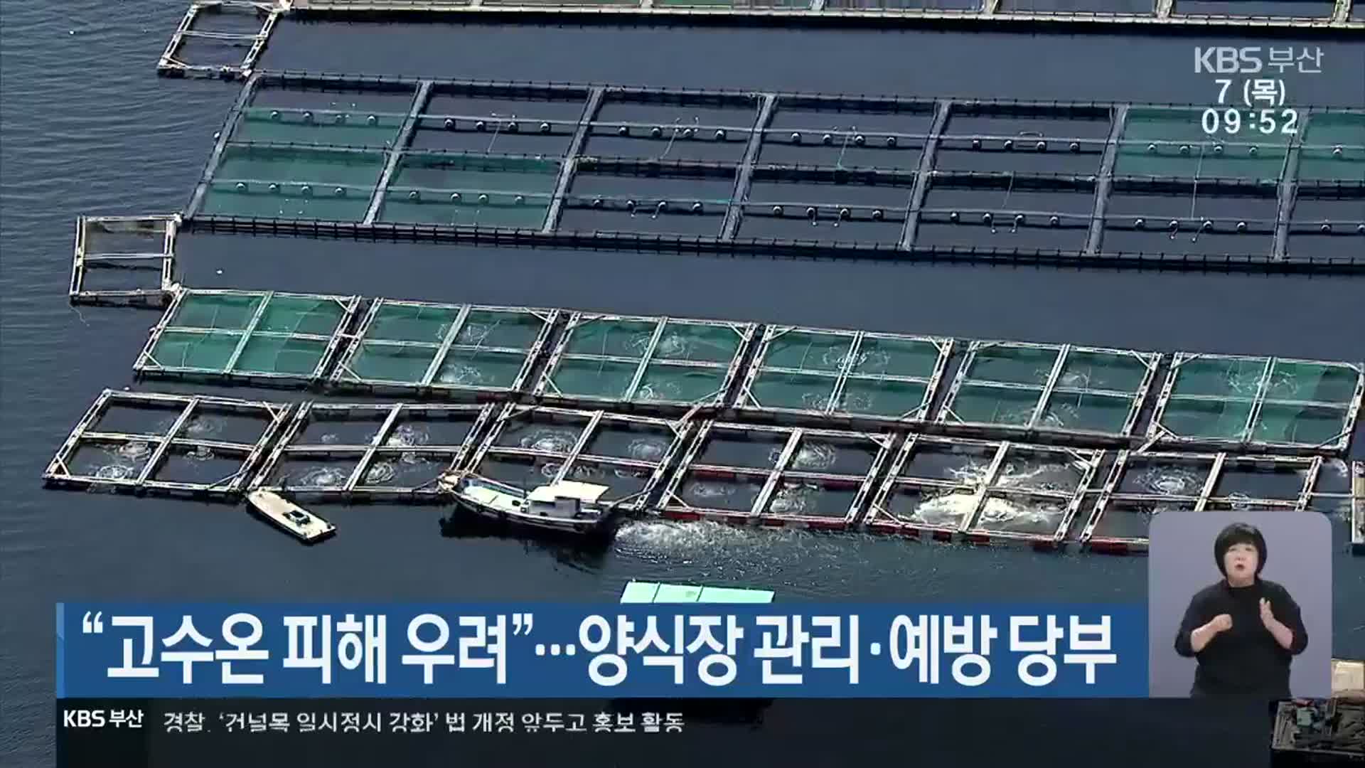“고수온 피해 우려”…양식장 관리·예방 당부