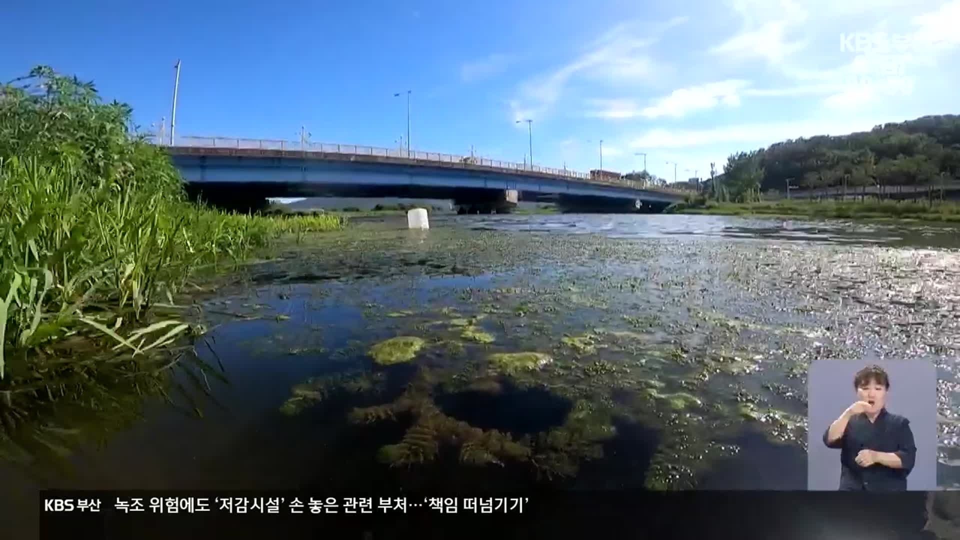 녹조 위험에도…‘저감시설’ 손 놓은 관련 부처