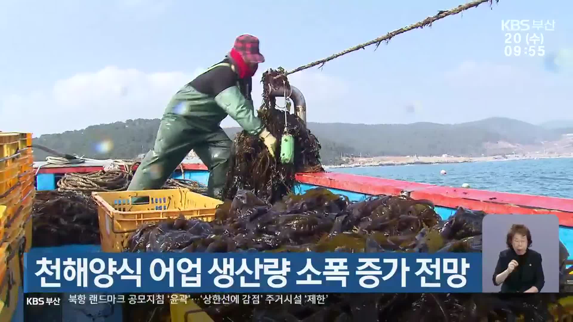 천해양식 어업 생산량 소폭 증가 전망