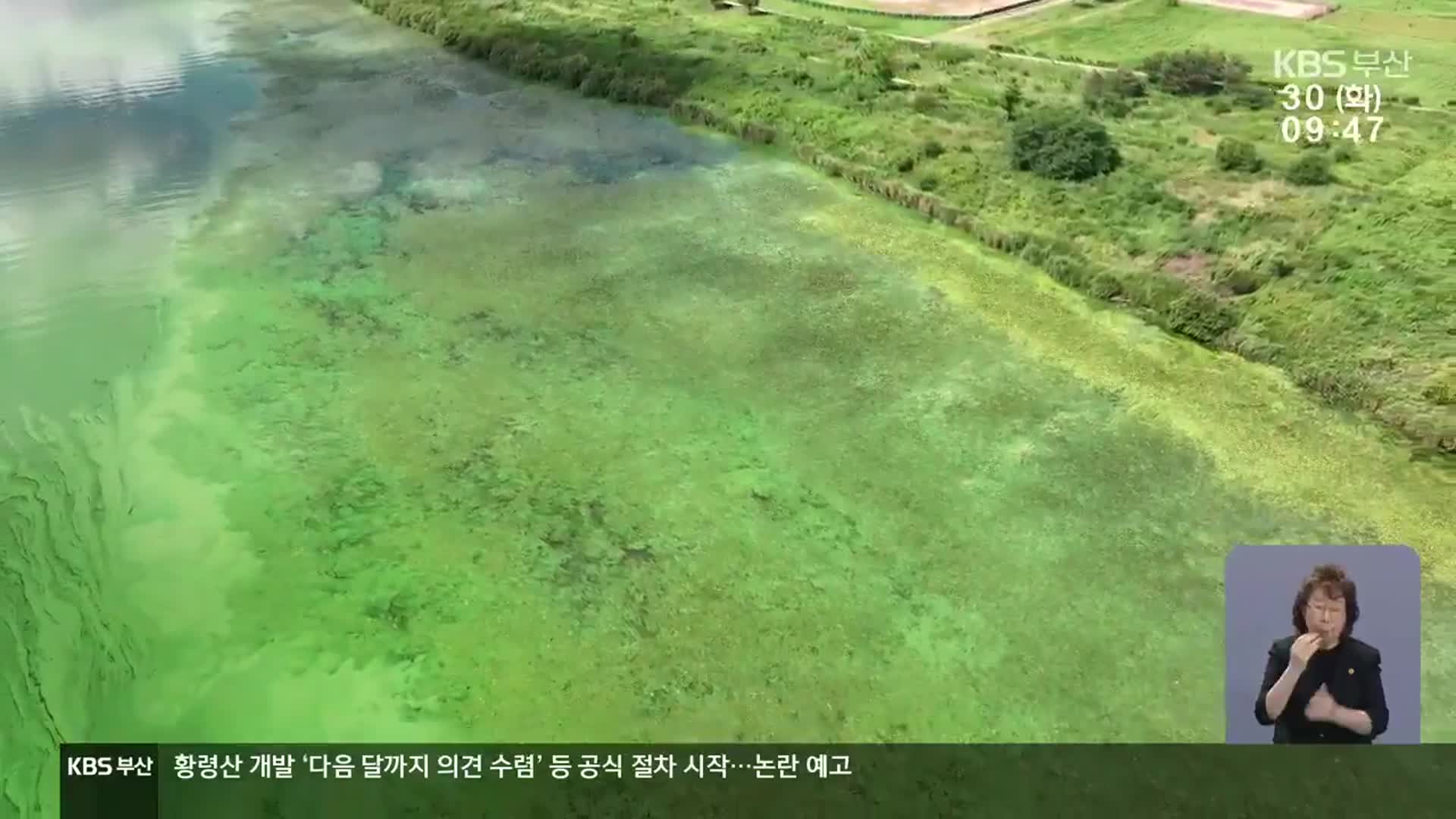 수돗물도 안심 못해…독성 성분 검출