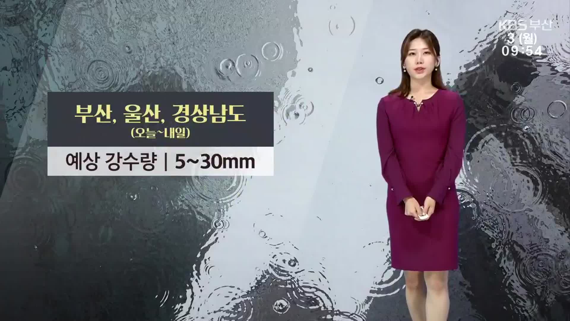 [날씨] 부산 내일까지 강풍 동반 5~30mm 비…한낮 27도