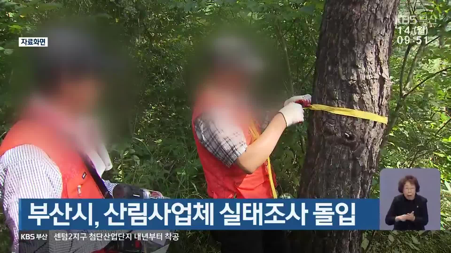 부산시, 산림사업체 실태조사 돌입