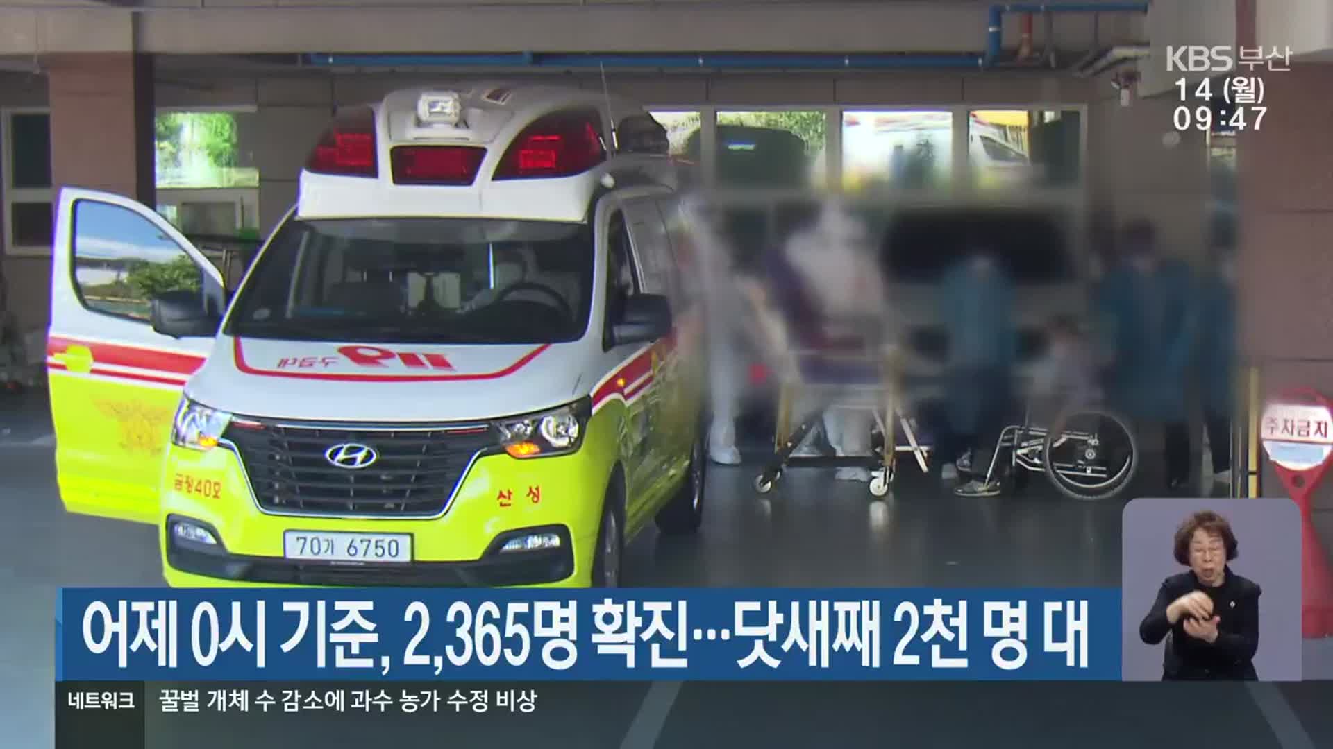 어제 0시 기준, 부산 2,365명 확진…닷새째 2천 명 대