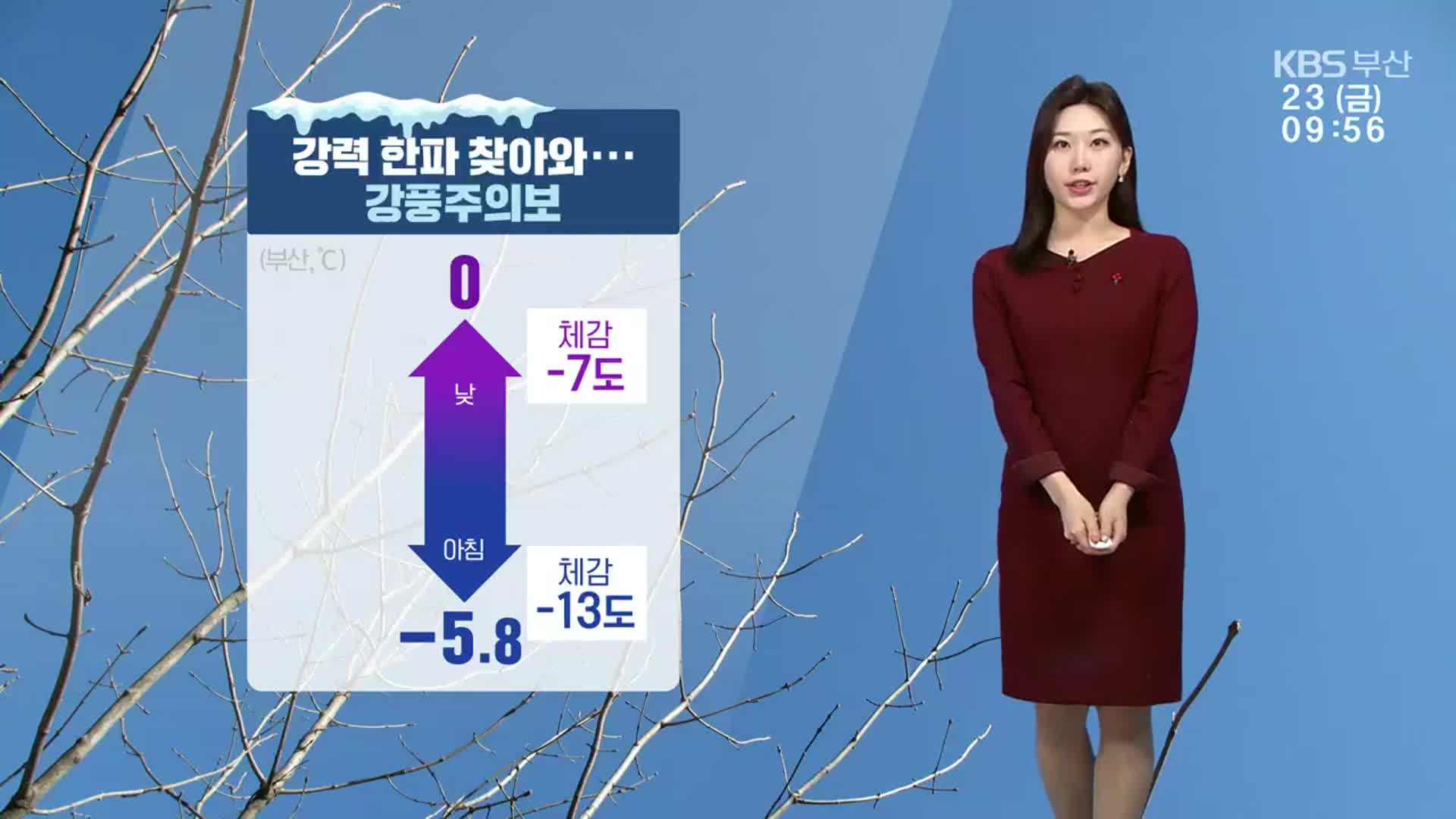 [날씨] 부산 오늘 강풍특보 발효…낮 체감 기온 -7도 안팎