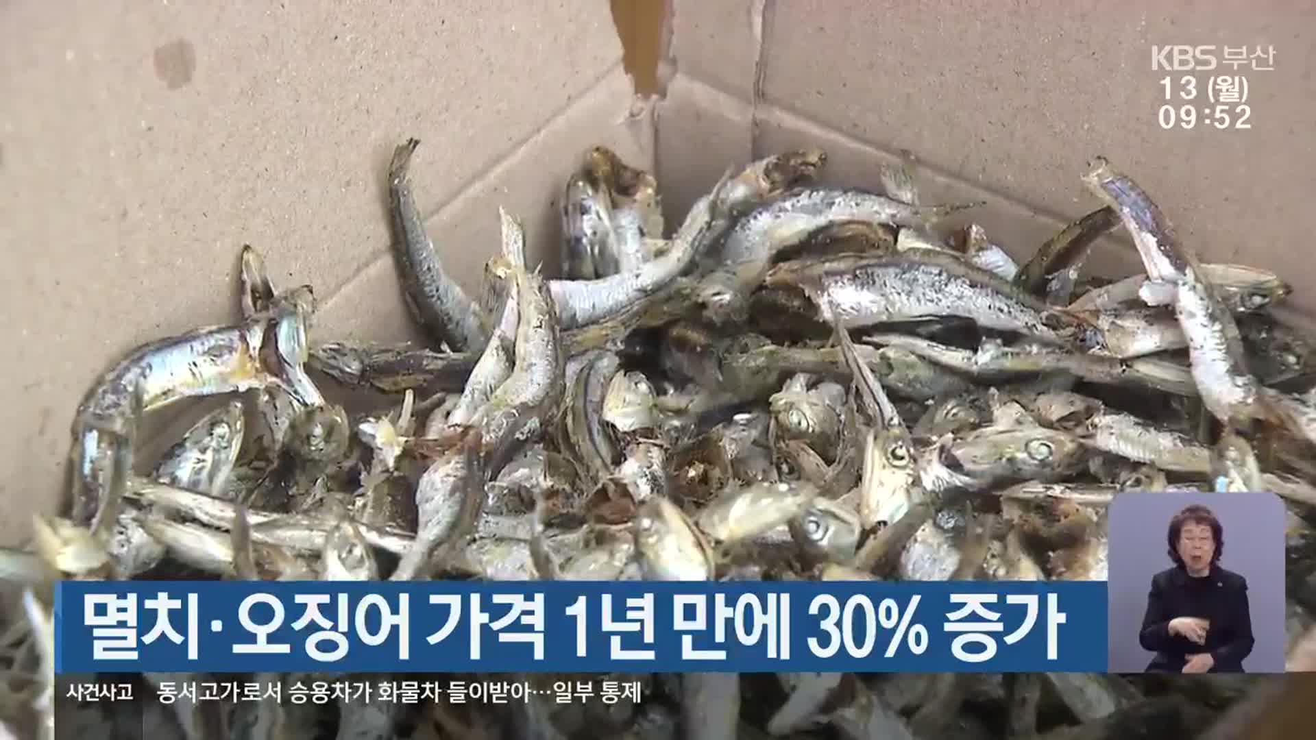 멸치·오징어 가격 1년 만에 30% 증가