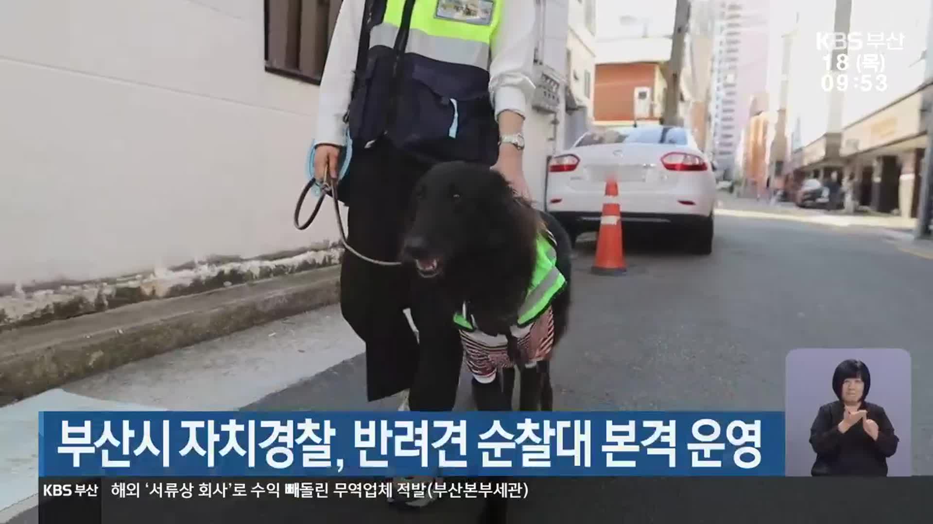 부산시 자치경찰, 반려견 순찰대 본격 운영