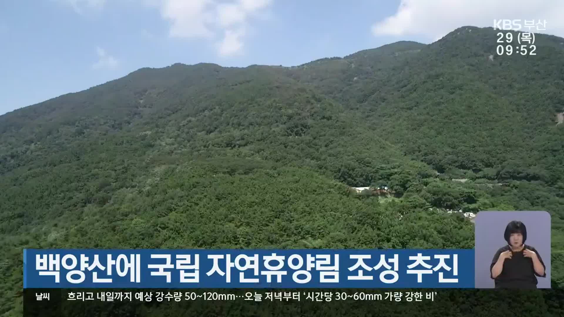 백양산에 국립 자연휴양림 조성 추진