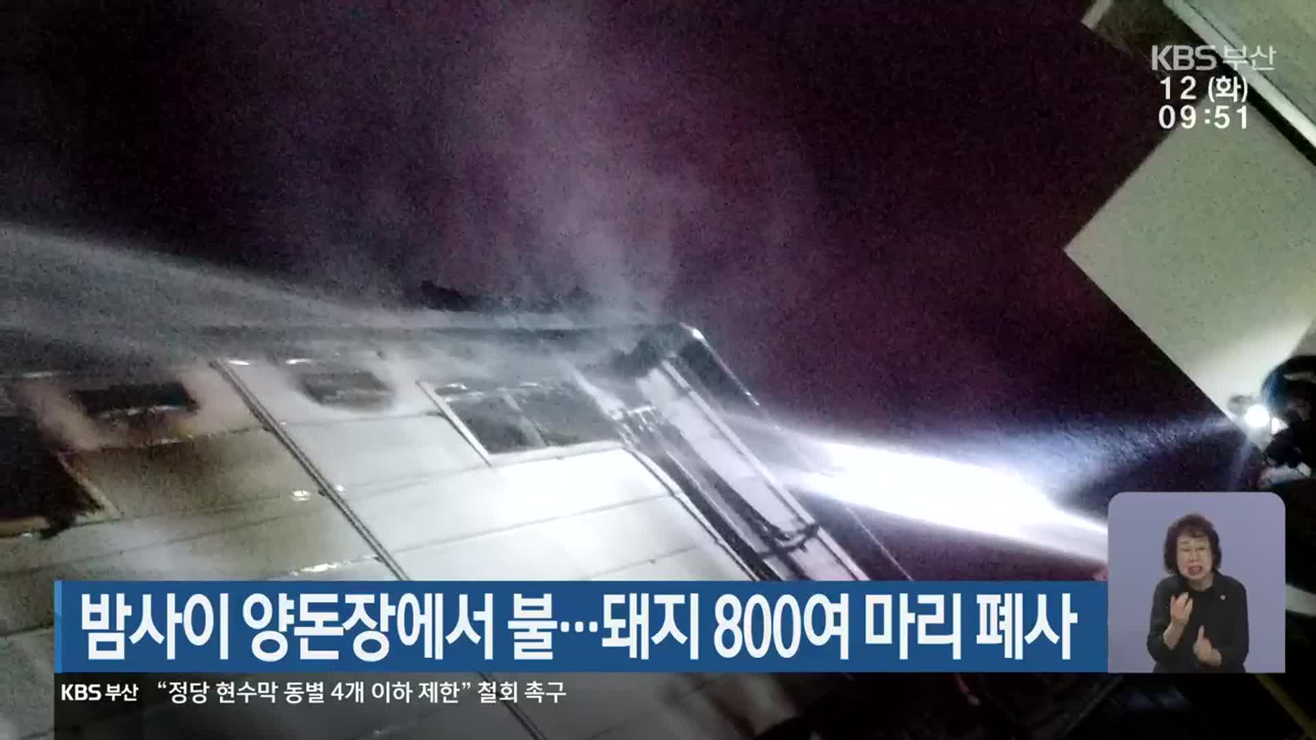 밤사이 양돈장에서 불…돼지 800여 마리 폐사