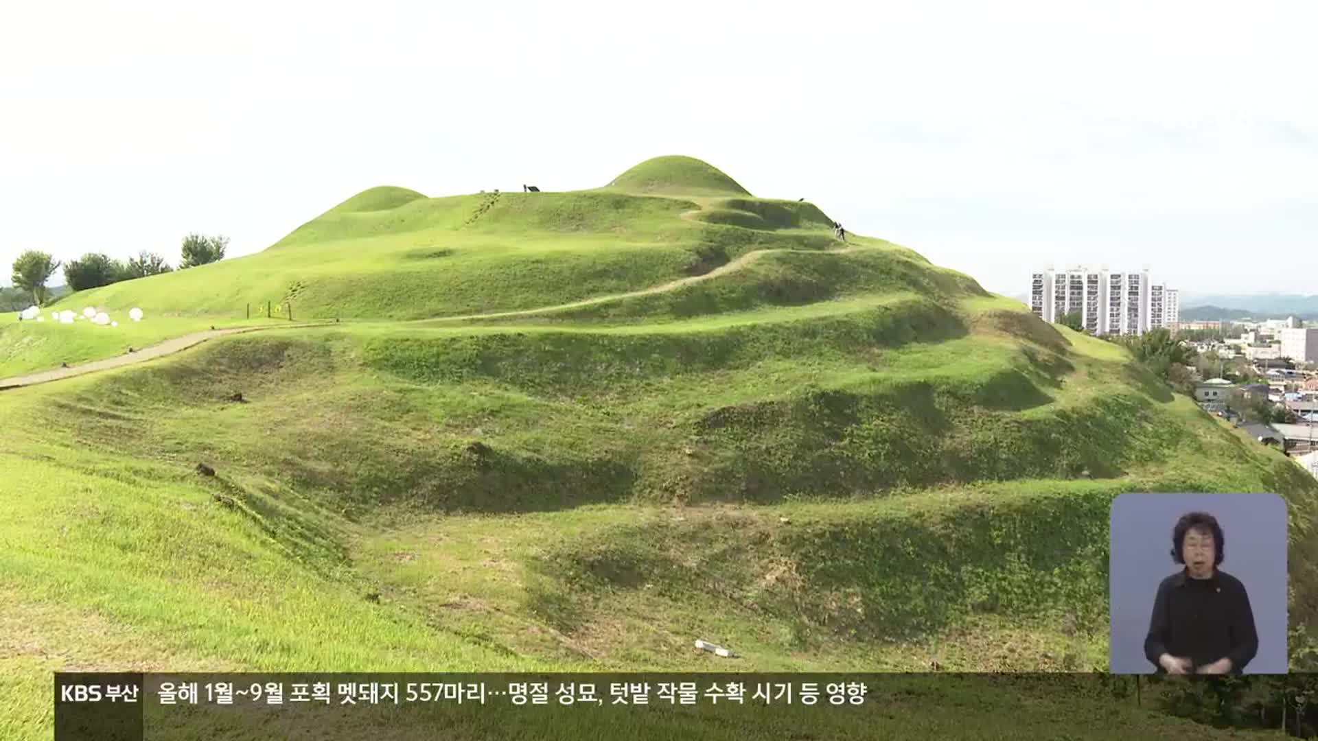 가야고분군 정비 ‘속도’…통합 관리 조직은?