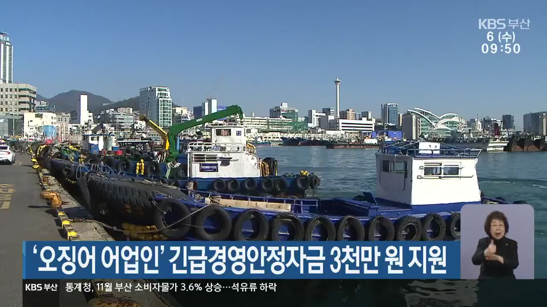 ‘오징어 어업인’ 긴급경영안정자금 3천만 원 지원