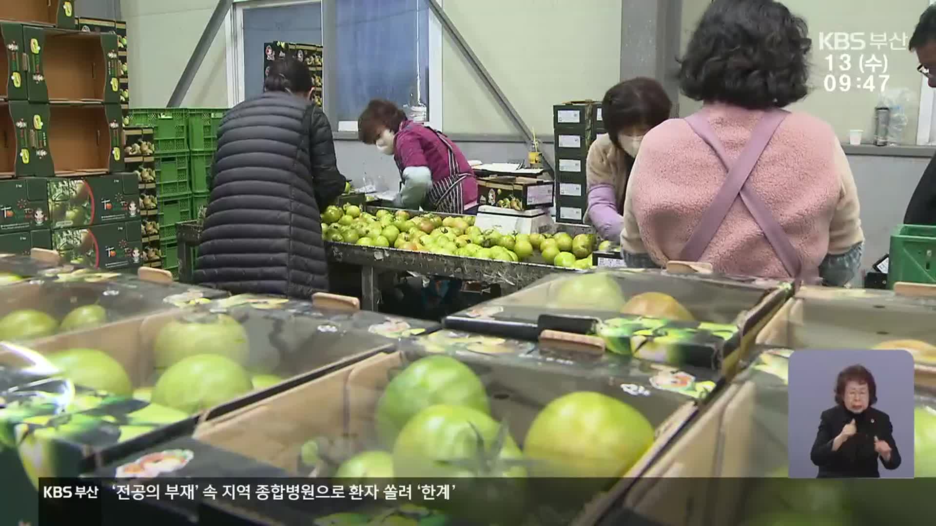 3월도 과채류 가격 ‘고공행진’