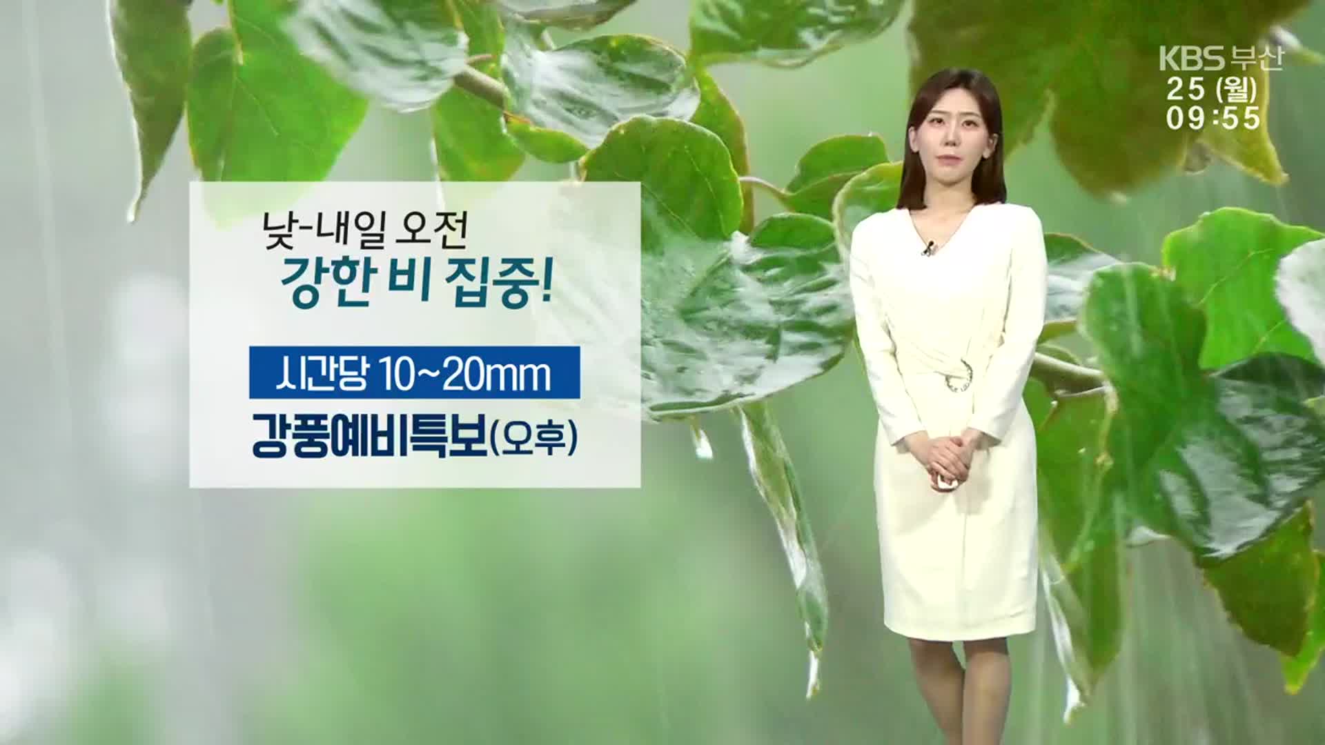 [날씨] 부산 흐리다 낮부터 10~40mm 비…강풍·풍랑예비특보