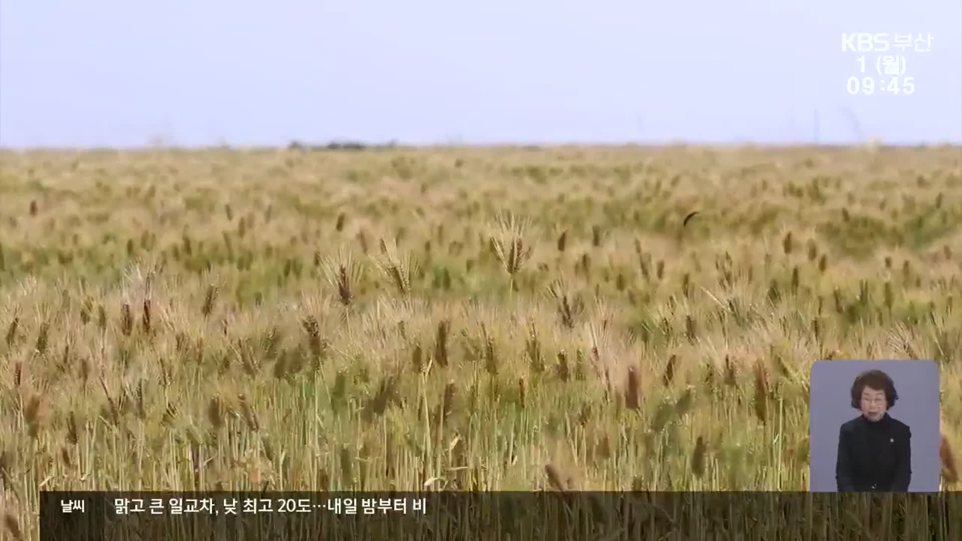 전략작물직불제 확대…“밀·콩 소비 대책 필요”