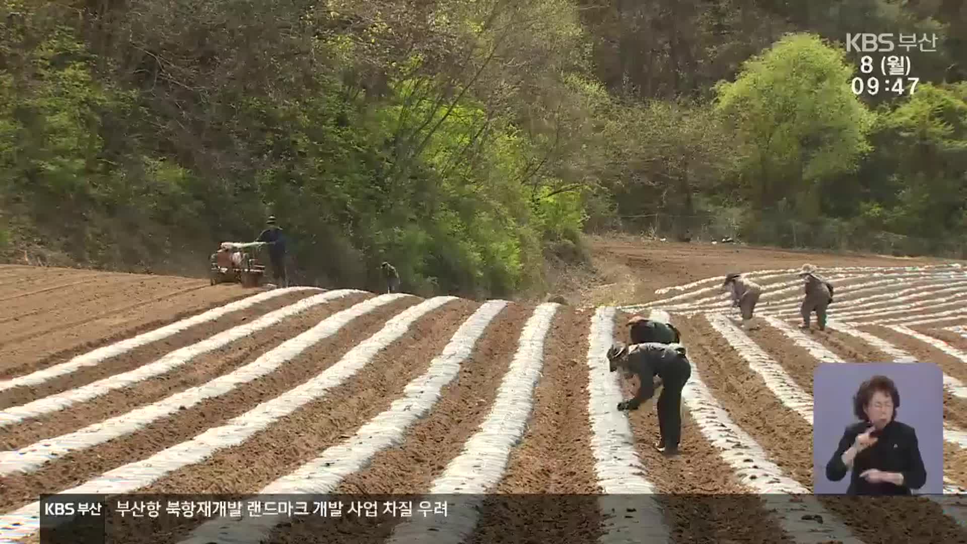 ‘이민 확대로 지방소멸 극복’…“2030년까지 10만 명 추가 유입”