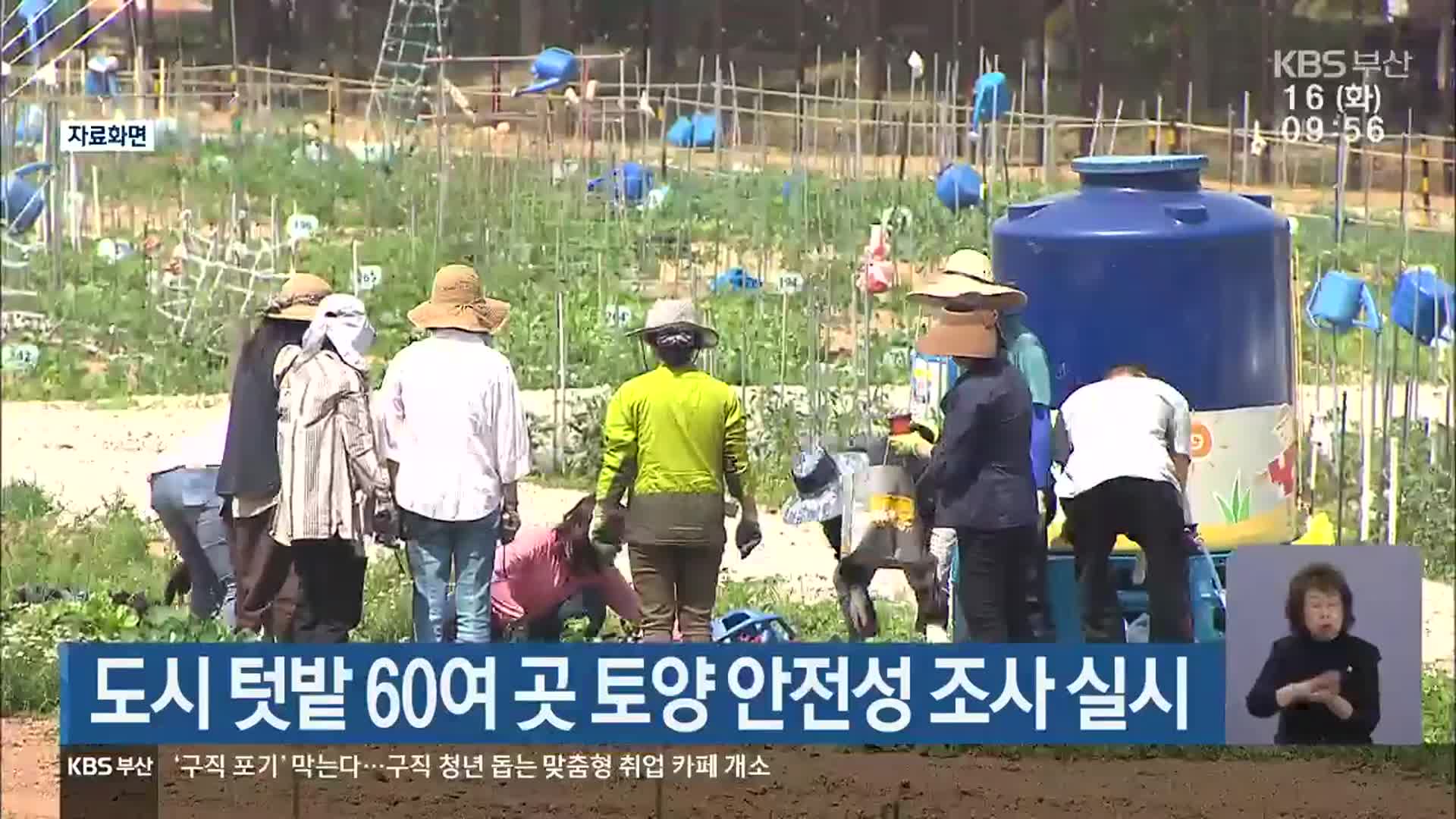 도시 텃밭 60여 곳 토양 안전성 조사 실시