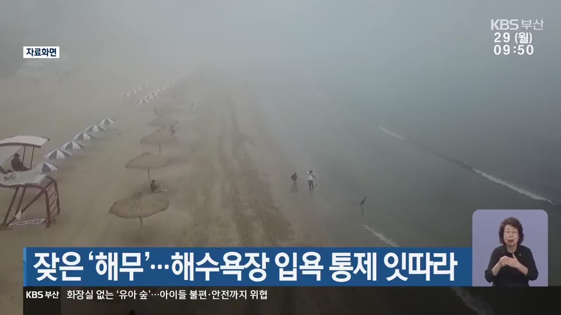 잦은 ‘해무’…해수욕장 입욕 통제 잇따라