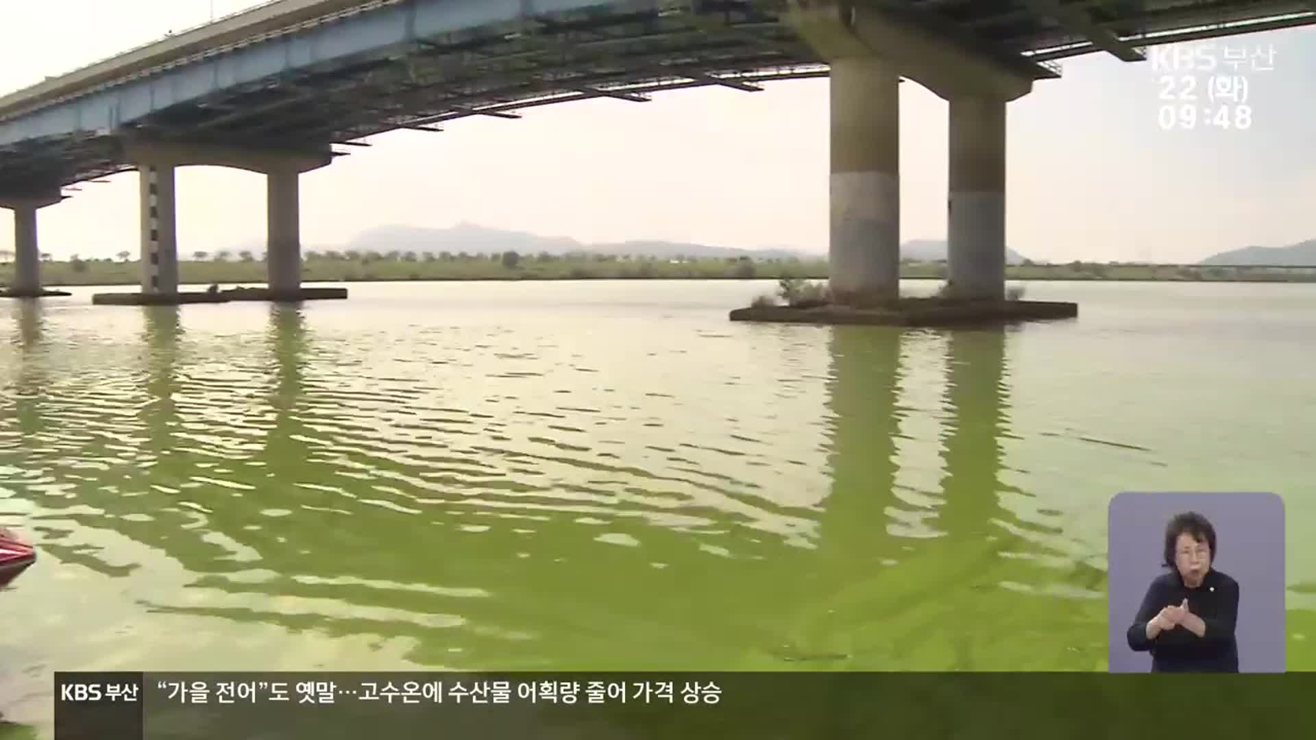 “가을녹조·공기노출 위험…국회 청문회 요청”