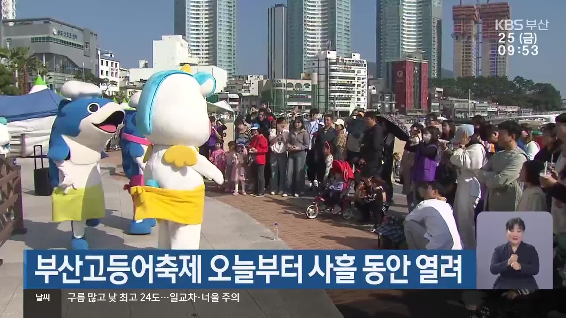 부산고등어축제 오늘부터 사흘 동안 열려