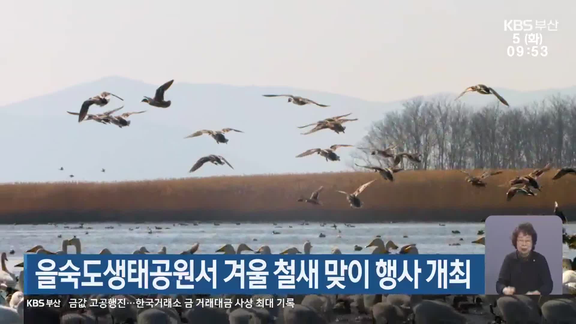 을숙도생태공원서 겨울 철새 맞이 행사 개최