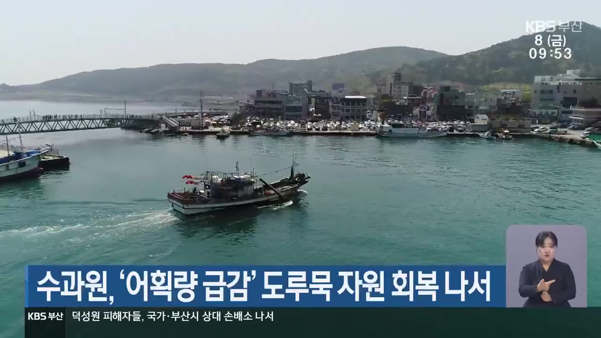 수과원, ‘어획량 급감’ 도루묵 자원 회복 나서