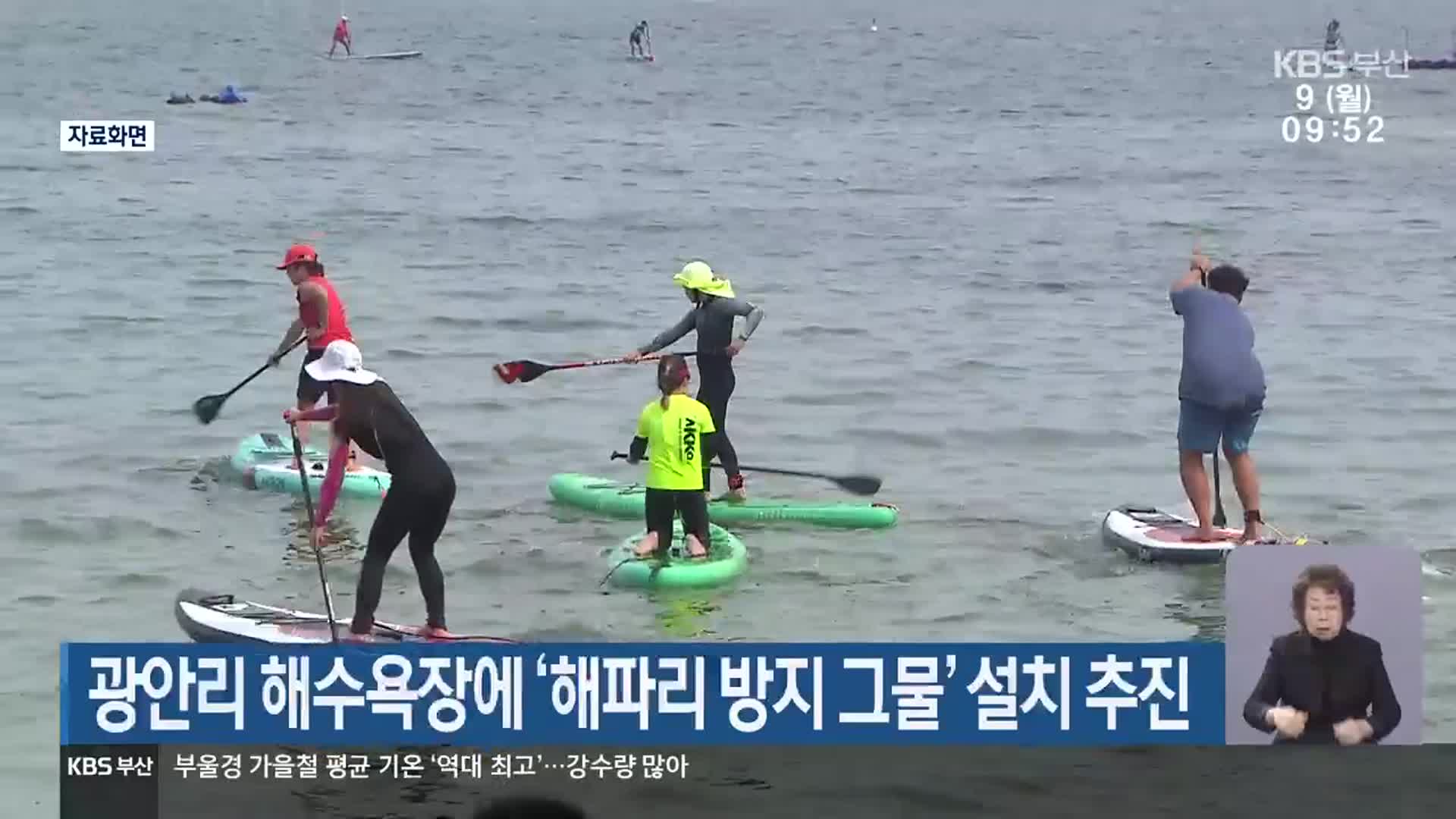 광안리 해수욕장에 ‘해파리 방지 그물’ 설치 추진