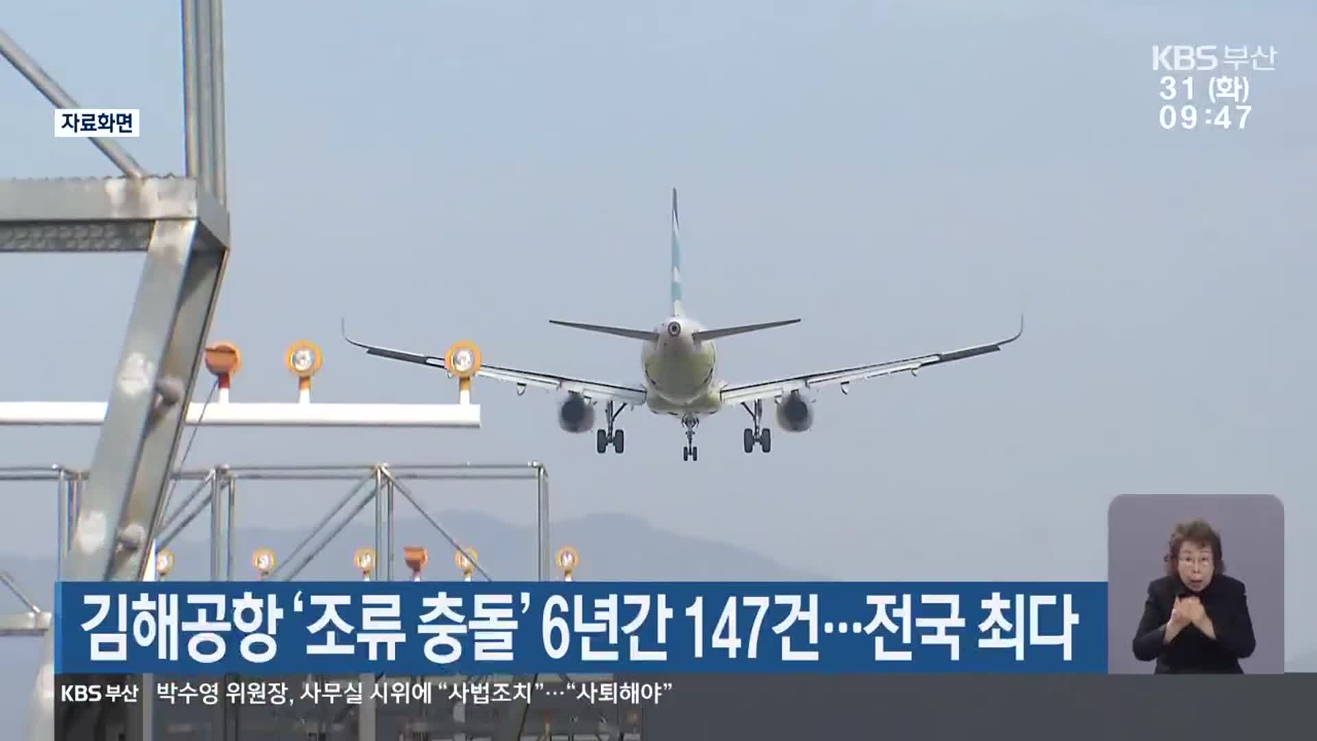 김해공항 ‘조류 충돌’ 6년간 147건…전국 최다