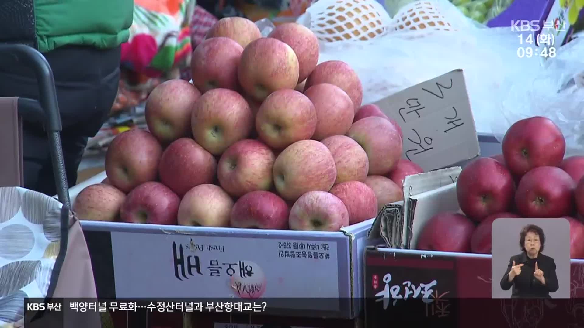 고물가 속 설 명절 준비 ‘이중고’