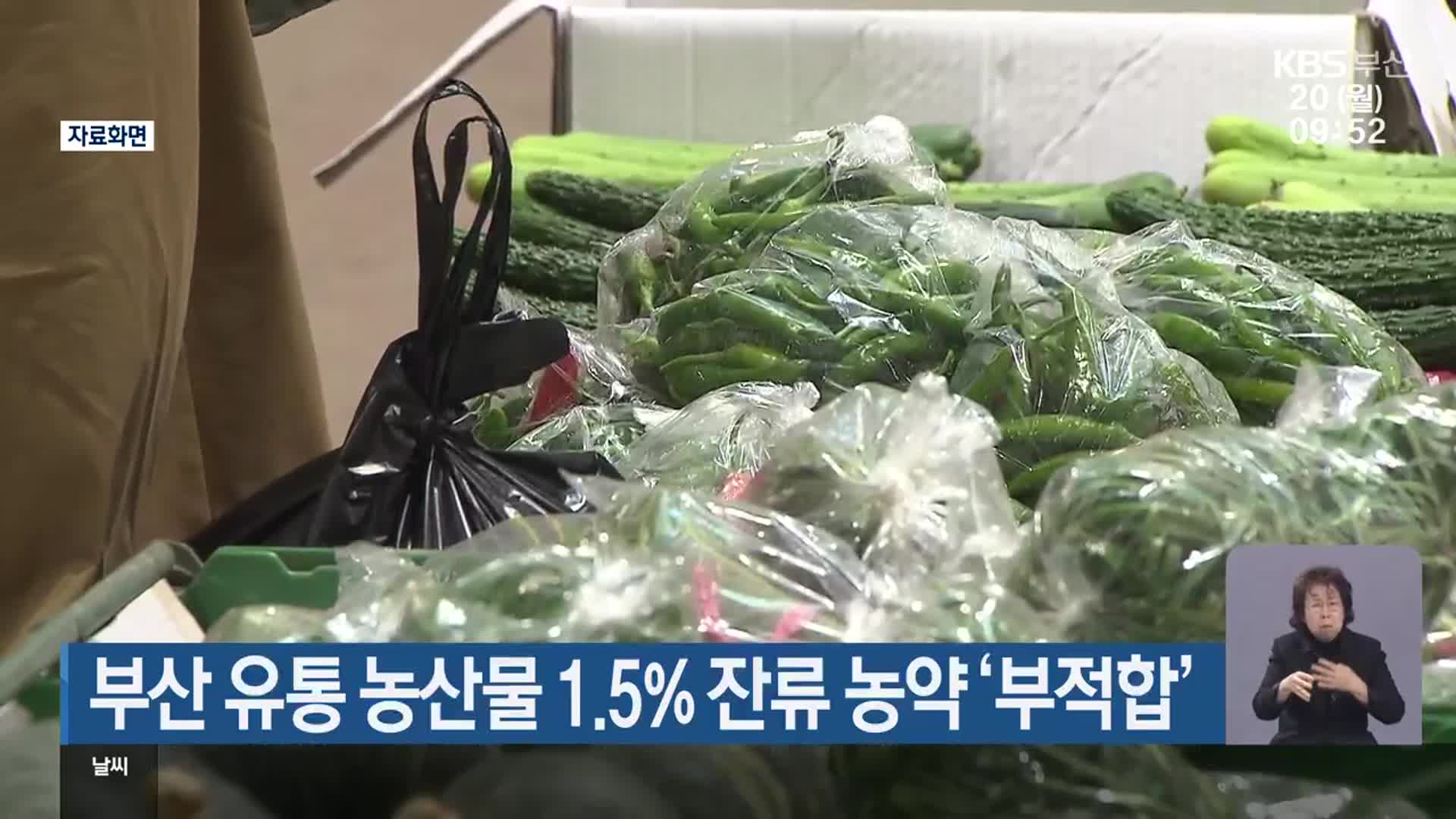 부산 유통 농산물 1.5% 잔류 농약 ‘부적합’