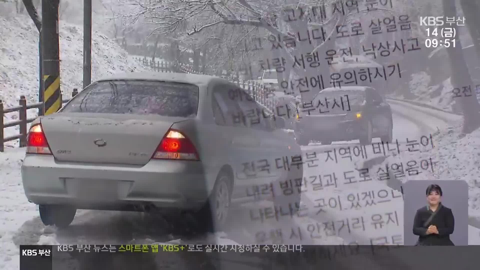 0.4cm 눈에도 혼선…“재난 문자 점검해야”