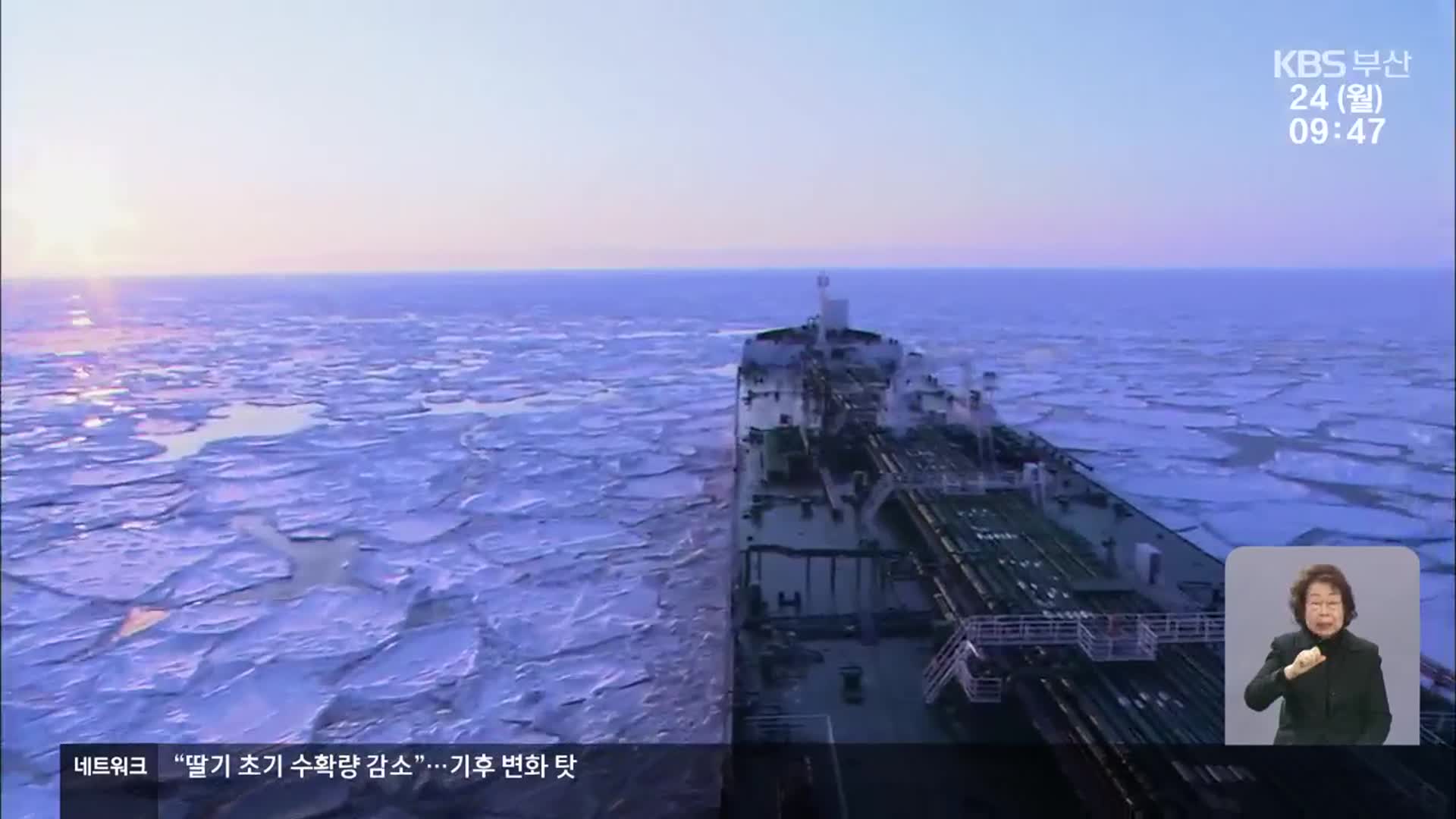 북극항로 지원 밝히자 강하게 비판