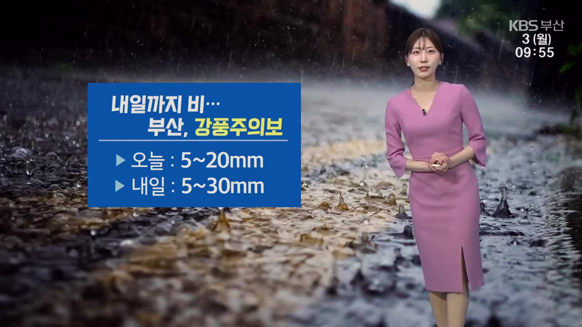 [날씨] 부산 내일까지 강풍 동반 5~30mm 비…낮 최고 7도