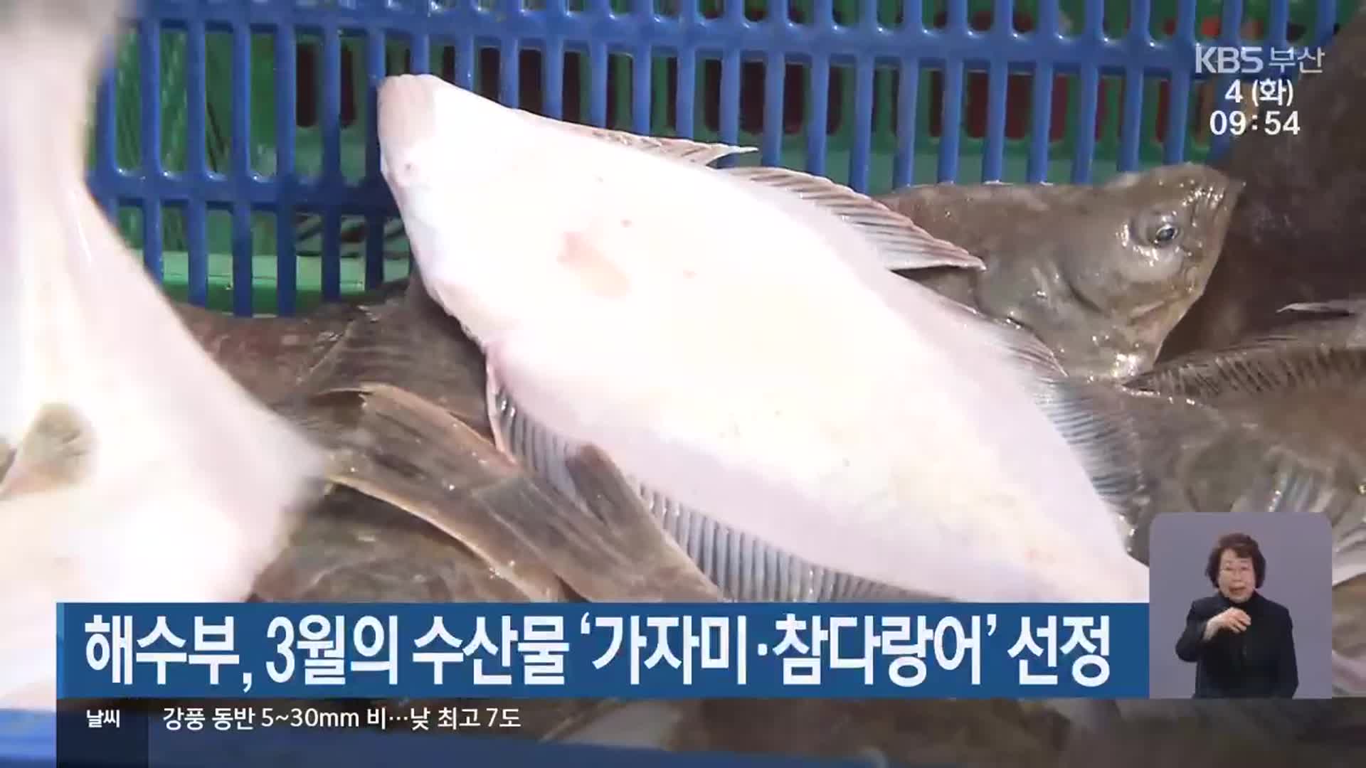 해수부, 3월의 수산물 ‘가자미·참다랑어’ 선정