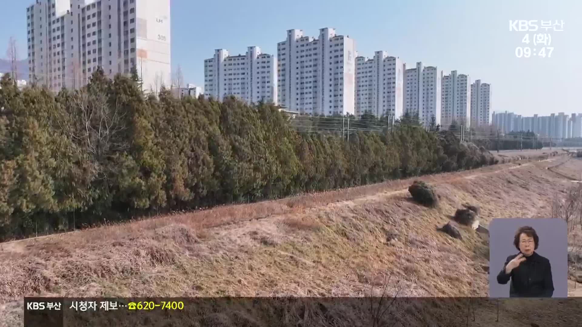 ‘미세먼지 차단 숲’ 부적정 조성…“국비 환수해야”