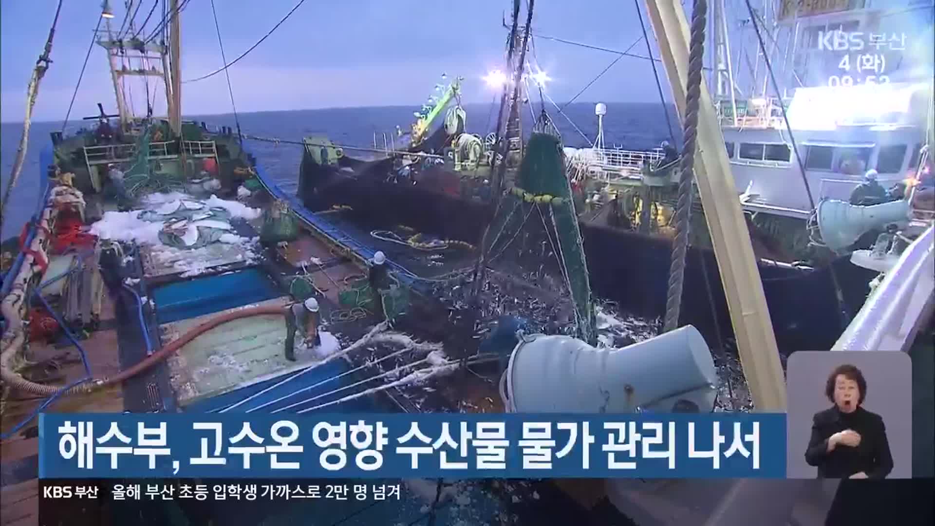 해수부, 고수온 영향 수산물 물가 관리 나서
